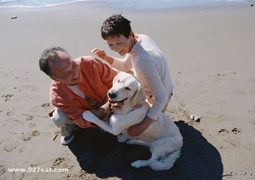 �ļ���ʳ  ���˳Դ������̲� www.027eat.com