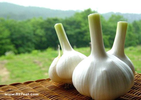 ��������;������������ www.027eat.com