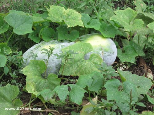 ����Ӫ����ֵ�� Ԥ��֬���� www.027eat.com