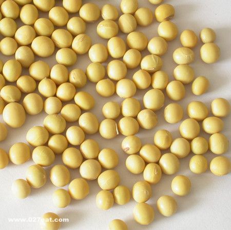 ���ֳ��õĴ��ݻƶ������� www.027eat.com