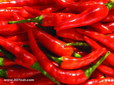 ��Щ���ʺϳ������� www.027eat.com