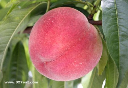 ��������ӵĺô���ע������ www.027eat.com