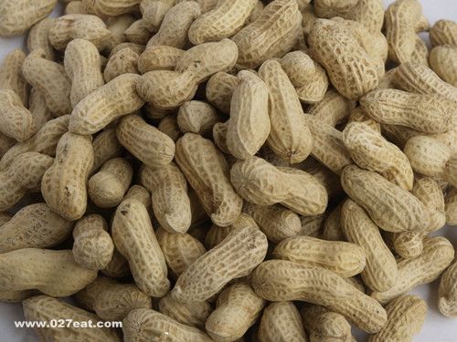 ������ô�ܹ��Գ�����Ӫ�� www.027eat.com