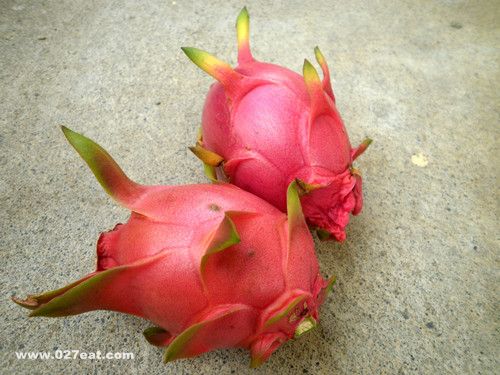 ������������ά���ؼ�����Ӫ���ɷ� www.027eat.com