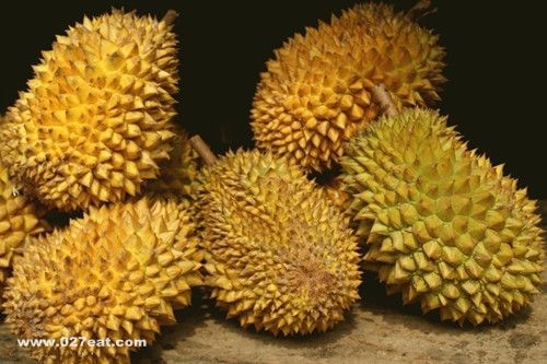 �������ϵļ����ɻ�ĵط� www.027eat.com