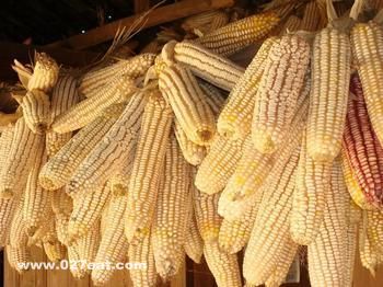 ���׵���ֲ���� www.027eat.com