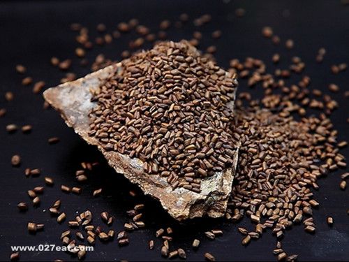 ������������ҩ ������ www.027eat.com