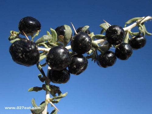 ����轳�ˮ�������������е����� www.027eat.com