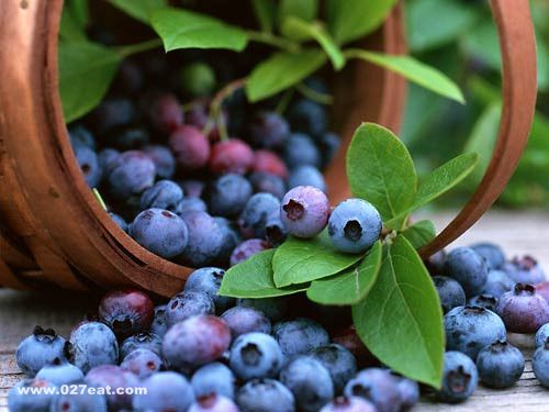 �����ѡ��ݮ ��ݮ��Ӫ����ֵ����Щ www.027eat.com