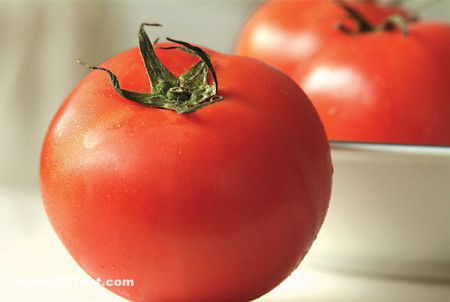 ��������������߲� www.027eat.com