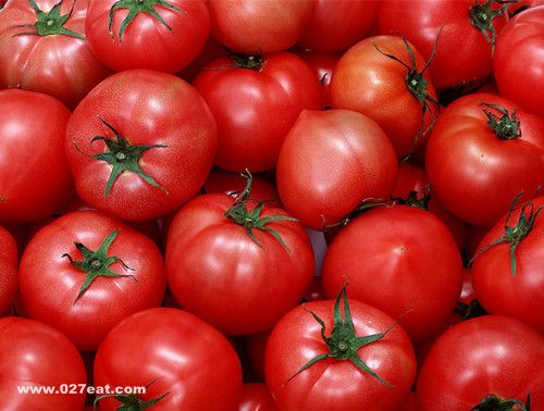 ��������������߲� www.027eat.com