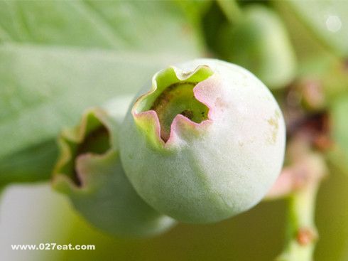 �޻������治Ϊ��֪�Ĺ�Ч www.027eat.com