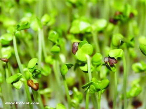 ����ѿ�������Щ���� www.027eat.com