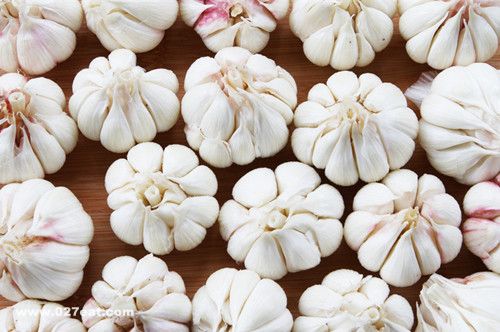 ���ܴ��������4���� www.027eat.com