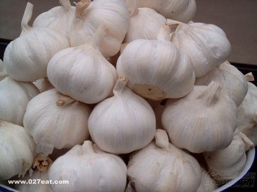 ���ܴ��������4���� www.027eat.com