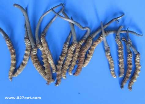 �ĳ涬�ݵĹ�Ч������ www.027eat.com