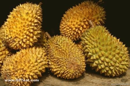 ���������� �������Ⱦƿ������� www.027eat.com