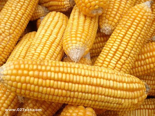 ��������������������� www.027eat.com