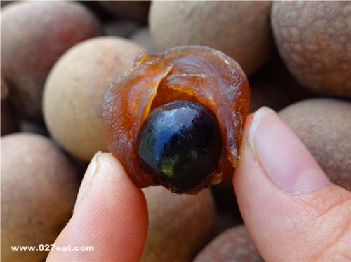 ��Բ����ô�� ��ô�Զ��óԽ��� www.027eat.com