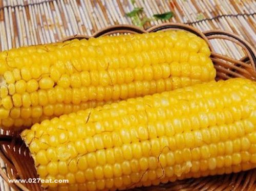 Ů�Կ�˥�� �������������� www.027eat.com