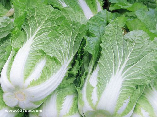 θ�׿��ԳԴ�ײ��� www.027eat.com