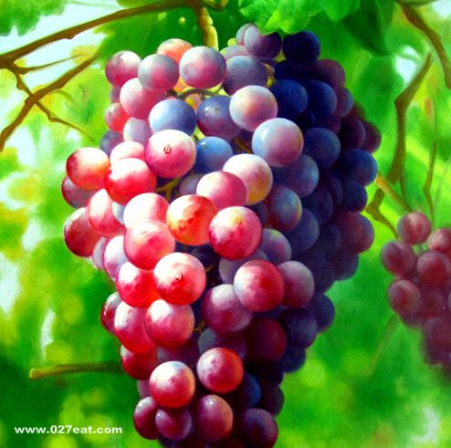 ���ѵĹ�Ч�뺦�� www.027eat.com