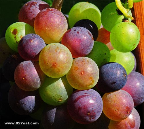 ���ѵĹ�Ч�뺦�� www.027eat.com