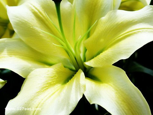 �ٺϵ�ҩ�ü�ֵ�����ж����� www.027eat.com