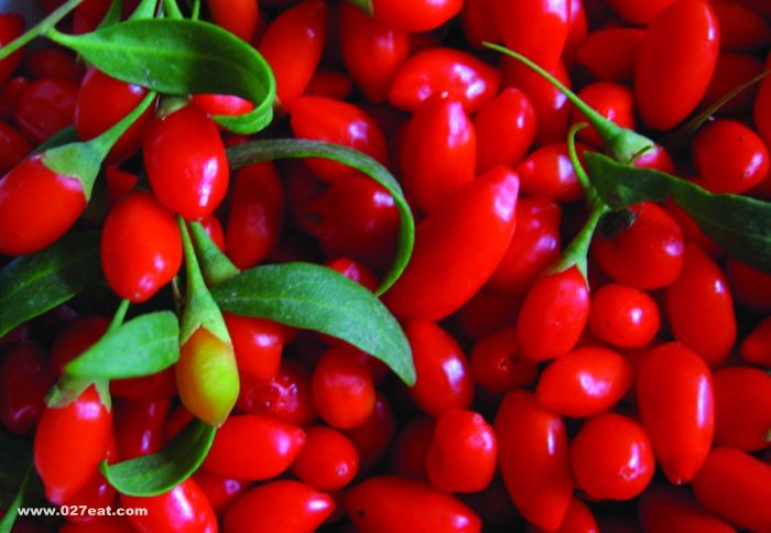 ��轶���й������ www.027eat.com