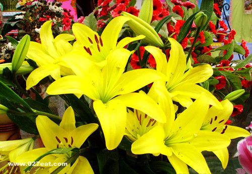 �ļ������԰ٺ� �ٺϵ�ʳ�ý�������� www.027eat.com