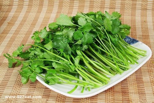 ������Ҳ�����  �������7������ www.027eat.com