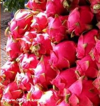 �Ի������Ļ�����Ҫע������� www.027eat.com