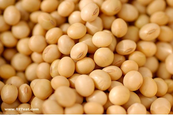 �ƶ�Ҳ������ʥƷ 3�����ûƶ� �̲����� www.027eat.com