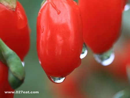 �ջ�����۲� ���������� www.027eat.com