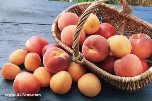 �ļ������ӵ�Ӫ����Ч www.027eat.com