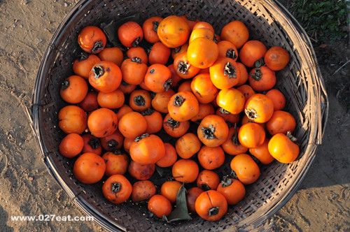 �����ߴ���� ��ע�� www.027eat.com