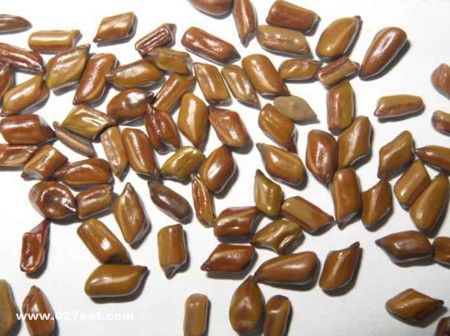 ��������; www.027eat.com