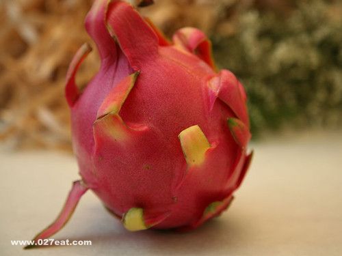 &ldquo;������&rdquo;�Ļ�����Ҫ��Ϯ�� www.027eat.com