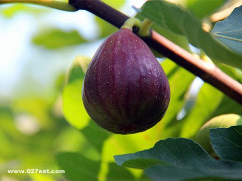 �޻�����ˮ������Щ��Ч www.027eat.com