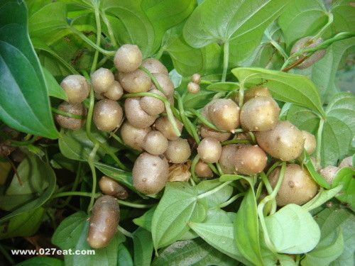 山药豆的吃法大全 山药的5种吃法 www.027eat.com
