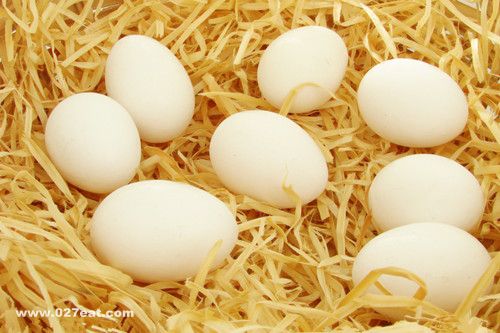 �Լ��� ������14������ www.027eat.com