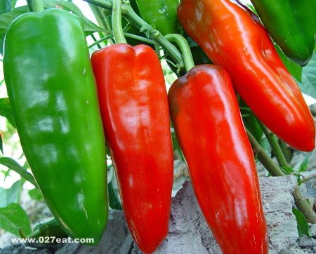 ����Ӫ���ַ��� ���ٴ����� www.027eat.com