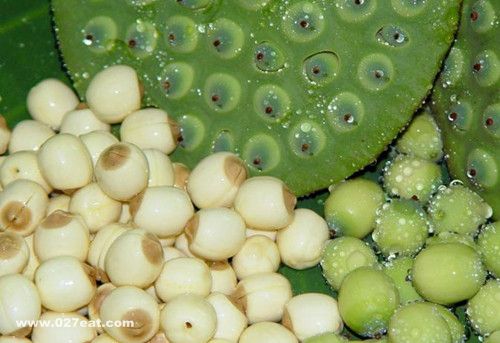 莲子补肾健脾 教你如何挑选莲子 www.027eat.com