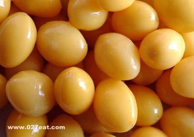 ����׹� ����֧�������� www.027eat.com