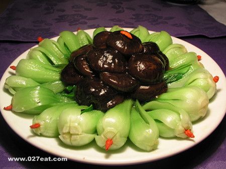 �и����㹽���� www.027eat.com