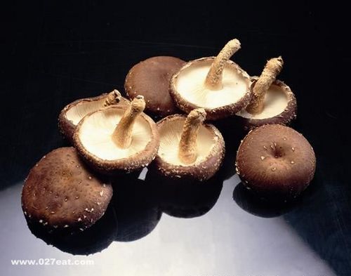 �и����㹽���� www.027eat.com