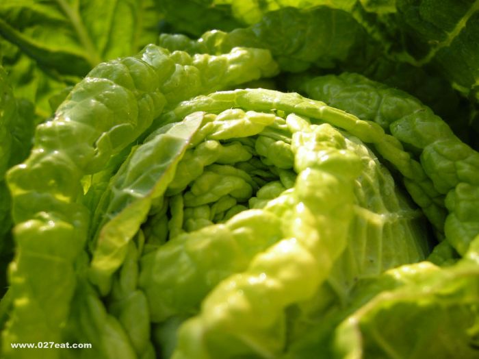 ������ײ˵�ʳ��ƫ�� www.027eat.com