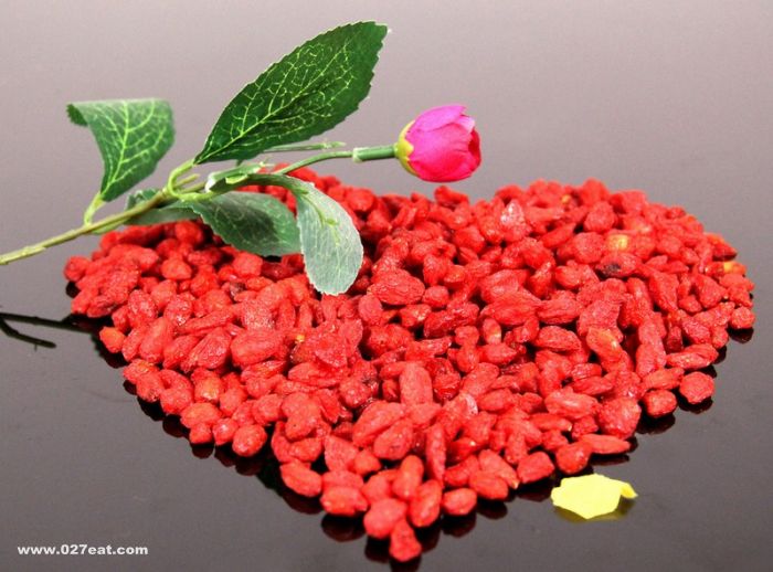 ��λ���ʶ�����Ѭ��������轣� www.027eat.com