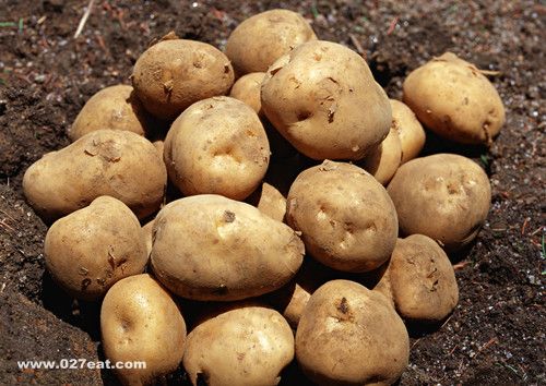 ������Ƥ������Ӫ�� ���������5������ www.027eat.com