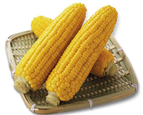 θ���ܳ������� �ܹ��ٽ���ϸ������ www.027eat.com